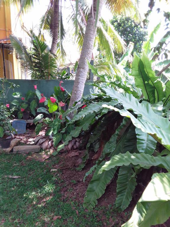 Serenity Villa Hikkaduwa Exterior photo